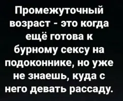 IMG_3312.webp
