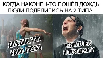 3005972402.webp