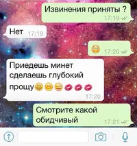 2288895116.webp