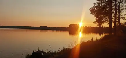 IMG_20250615_210301.webp