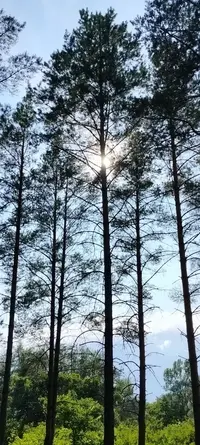 IMG_20250619_174304_638.webp
