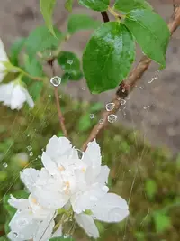 20250620145730.webp