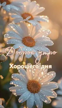 IMG_3412.webp