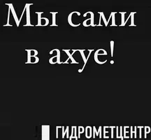 IMG_3411.webp
