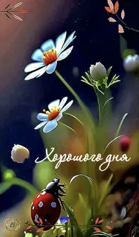IMG_3433.webp