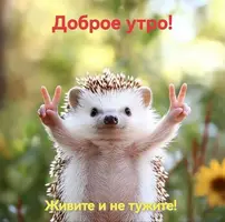 450a1cfa5380c7ab7074033f3ee7b127.webp