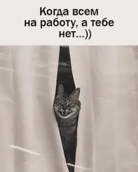 37c67a1d0d92c05942fc2d0e65bf766b.webp