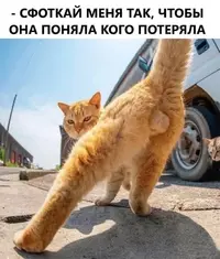 Q45OL-Trm-UeNAFUhKhmOWYKVyas8HFhaMcw2LNUVOZpbIUPjp8DnN5cH7XtK9wD2BHEkmRIw5orMU0rNdd8s37w.webp