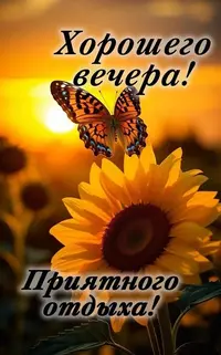 623_174434_615.webp