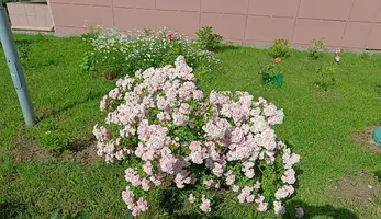 20250624085230.webp
