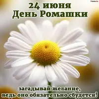 51mMXRdEc1o.webp