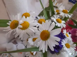1000003433.webp