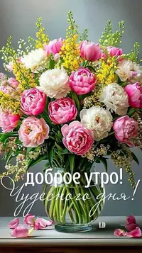 0525_125817_730.webp