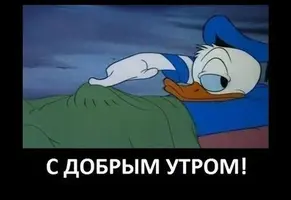 19395940.webp