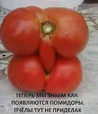 1000024376.webp