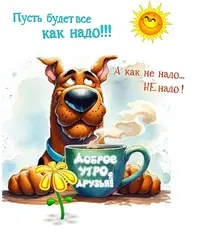 553f50a80536f0c5ef0088ed10ef04c2.webp