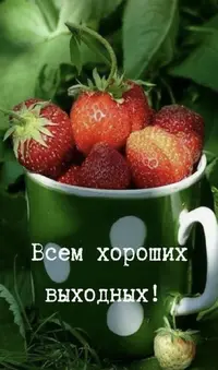 IMG_3560.webp