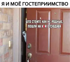 1000003568.webp