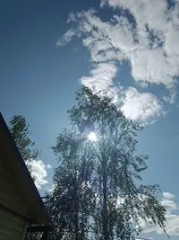 20250628155057.webp