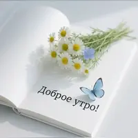 db56a5a83bba38612a2bdbb4ed86deb2.webp