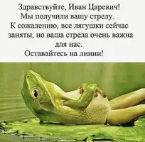 IMG_3606.webp
