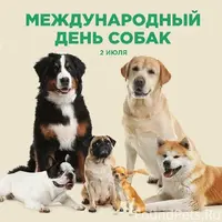 1688237358_bronk-club-p-2-iyulya-den-sobak-pozdravleniya-krasivo-2.webp