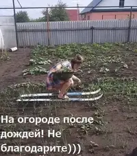 50703_091311_642.webp