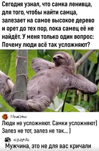 1000026012.webp