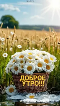 0e0ff7c2779cdeacb260804c213e19f7.webp
