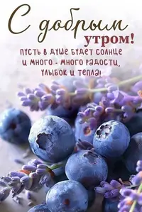 50604_080956_662.webp