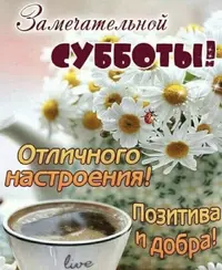 IMG_3773.webp