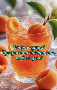 IMG_3785.webp