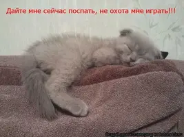 i.webp
