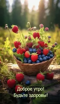 067bbbb12e3bd762d0253354301f8c00.webp