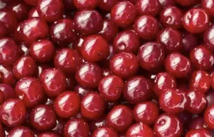 IMG_3853.webp