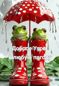 IMG-20250606-WA0001.webp
