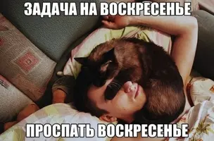 IMG_20250713_140503.webp
