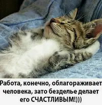 IMG_3971.webp