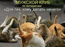 IMG_3972.webp