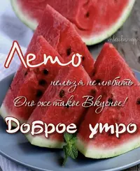 IMG_4002.webp