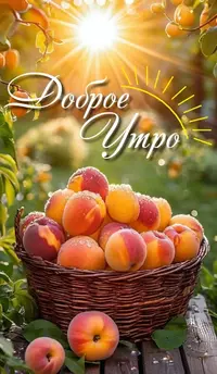 91c2df8b3141e7666b68bdd045c9546d.webp