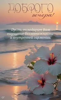 0716_134200_808.webp