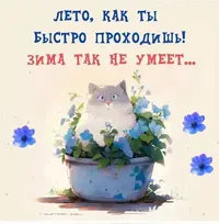 50717_160537_246.webp