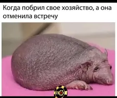 1000132147.webp