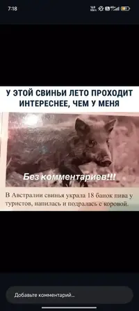 1000132242.webp