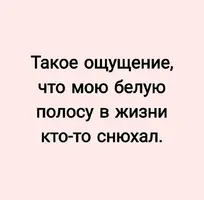 1000132246.webp
