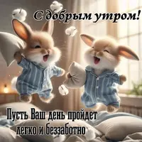 50616_151501_815.webp
