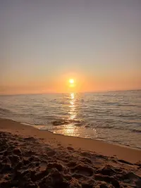 1000003713.webp