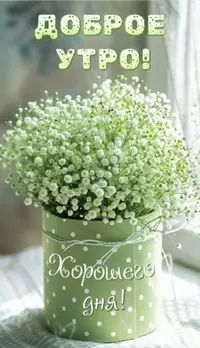 IMG_4140.webp