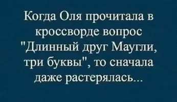 1000027520.webp